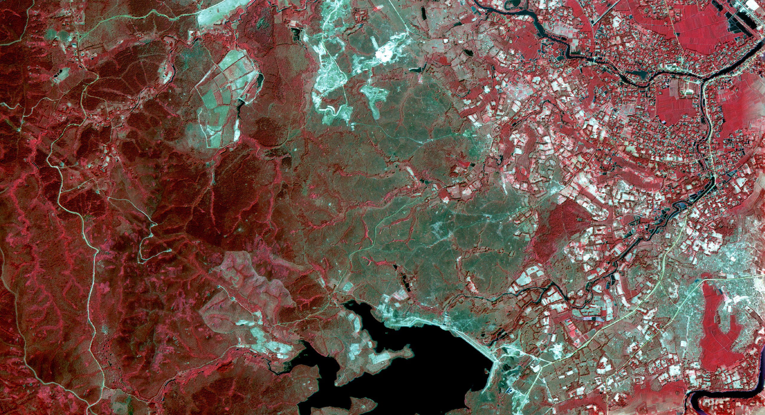 2002